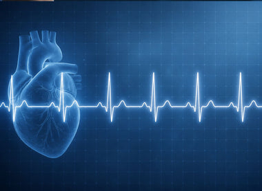 Zrozumienie Rytmu Zatokowego: Kluczowa Rola Kardia Mobile 6L, EKG i Holterów